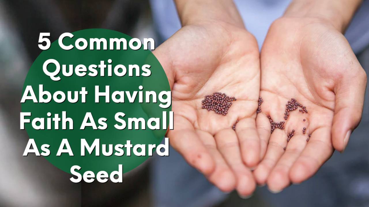 mustard seed in hand